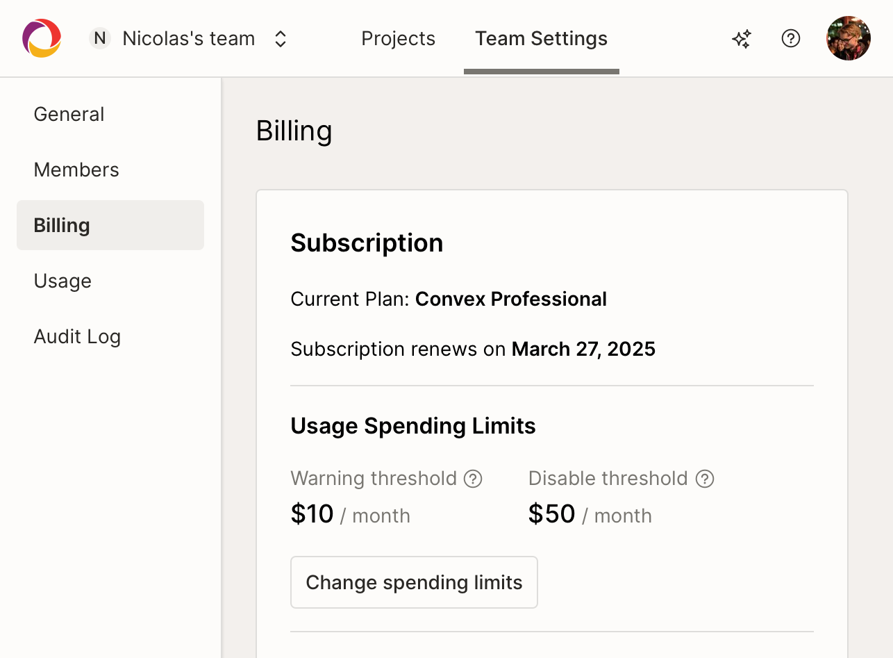 The team billing page with some spending limits set.